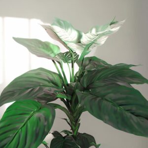 Spathiphyllum Licopodio