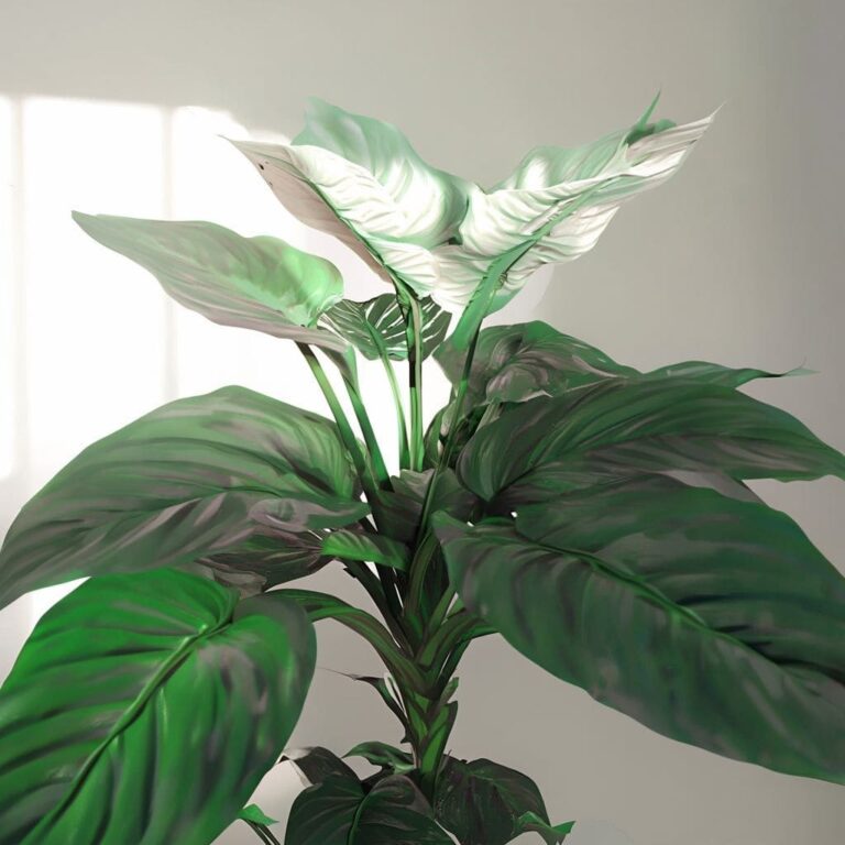 Spathiphyllum Licopodio